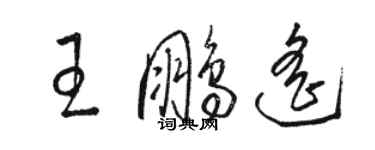 駱恆光王鵬遙草書個性簽名怎么寫