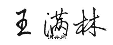 駱恆光王滿林行書個性簽名怎么寫