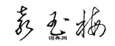 駱恆光袁玉梅草書個性簽名怎么寫