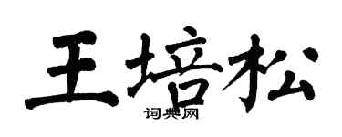 翁闓運王培松楷書個性簽名怎么寫