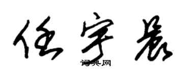 朱錫榮任宇晨草書個性簽名怎么寫