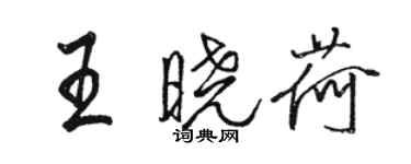 駱恆光王曉荷行書個性簽名怎么寫