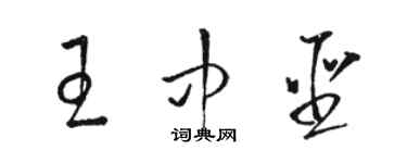 駱恆光王中聖草書個性簽名怎么寫