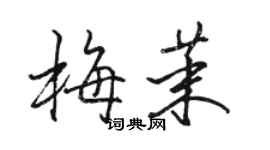 駱恆光梅茉行書個性簽名怎么寫
