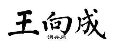 翁闓運王向成楷書個性簽名怎么寫