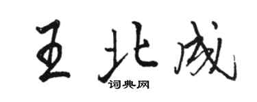 駱恆光王北成行書個性簽名怎么寫