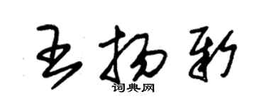 朱錫榮王揚新草書個性簽名怎么寫