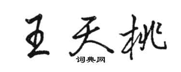 駱恆光王天桃行書個性簽名怎么寫