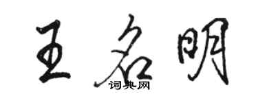 駱恆光王名明行書個性簽名怎么寫