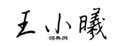 王正良王小曦行書個性簽名怎么寫