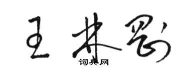 駱恆光王林剛草書個性簽名怎么寫