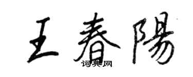 王正良王春陽行書個性簽名怎么寫