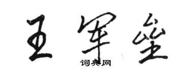 駱恆光王軍壘行書個性簽名怎么寫