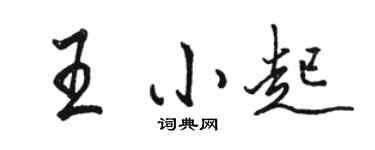 駱恆光王小起行書個性簽名怎么寫