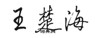 駱恆光王楚海行書個性簽名怎么寫