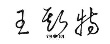 駱恆光王斯特草書個性簽名怎么寫