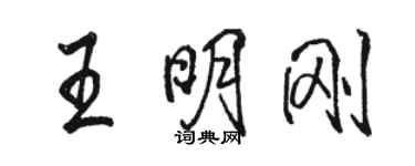駱恆光王明剛行書個性簽名怎么寫