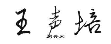 駱恆光王聲培行書個性簽名怎么寫