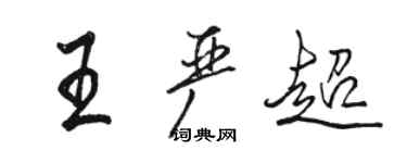 駱恆光王嚴超行書個性簽名怎么寫