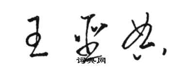 駱恆光王聖典草書個性簽名怎么寫