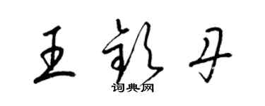 梁錦英王欽丹草書個性簽名怎么寫