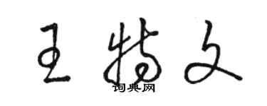 駱恆光王特文草書個性簽名怎么寫