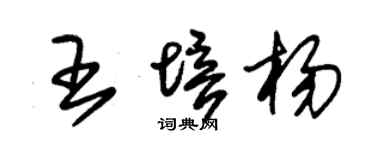 朱錫榮王培楊草書個性簽名怎么寫