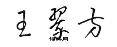 駱恆光王翠方草書個性簽名怎么寫