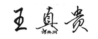 駱恆光王真貴行書個性簽名怎么寫