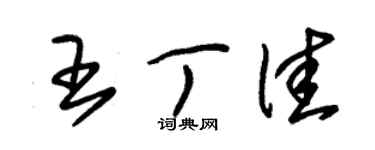 朱錫榮王丁佳草書個性簽名怎么寫