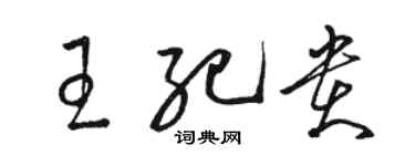 駱恆光王紀貴草書個性簽名怎么寫