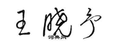 駱恆光王曉予草書個性簽名怎么寫