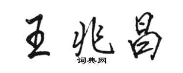 駱恆光王兆昌行書個性簽名怎么寫