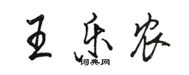 駱恆光王樂農行書個性簽名怎么寫