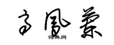 朱錫榮高鳳蘭草書個性簽名怎么寫