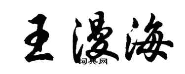 胡問遂王漫海行書個性簽名怎么寫