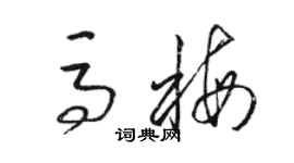 駱恆光馬梅草書個性簽名怎么寫