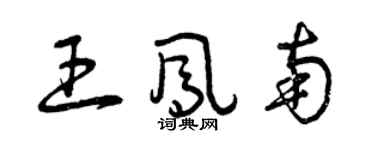 曾慶福王鳳南草書個性簽名怎么寫