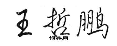 駱恆光王哲鵬行書個性簽名怎么寫