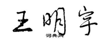 曾慶福王明宇行書個性簽名怎么寫