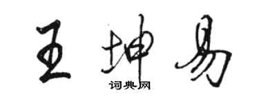 駱恆光王坤易行書個性簽名怎么寫