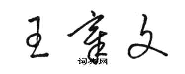 駱恆光王章文草書個性簽名怎么寫