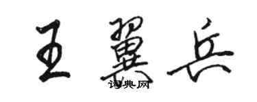 駱恆光王翼兵行書個性簽名怎么寫