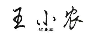 駱恆光王小農行書個性簽名怎么寫