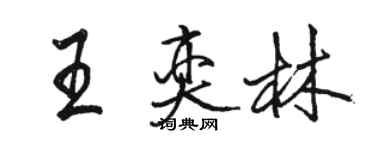 駱恆光王奕林行書個性簽名怎么寫