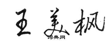 駱恆光王美楓行書個性簽名怎么寫