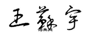 曾慶福王蘇宇草書個性簽名怎么寫