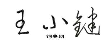 駱恆光王小鍵草書個性簽名怎么寫