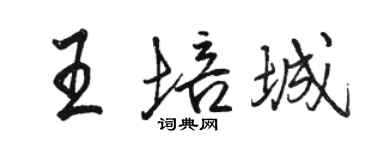 駱恆光王培城行書個性簽名怎么寫