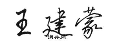 駱恆光王建蒙行書個性簽名怎么寫